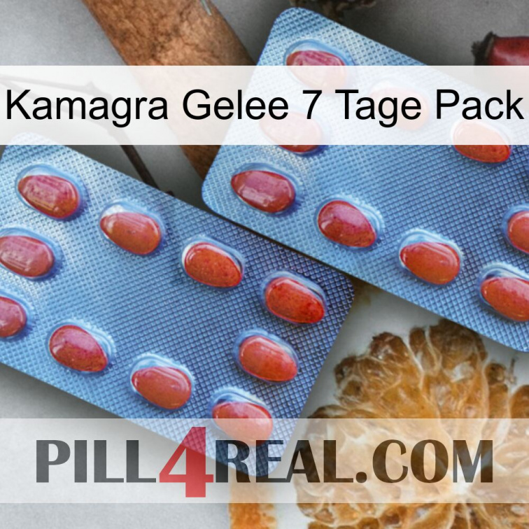 Kamagra Jelly 7 Day Pack 05